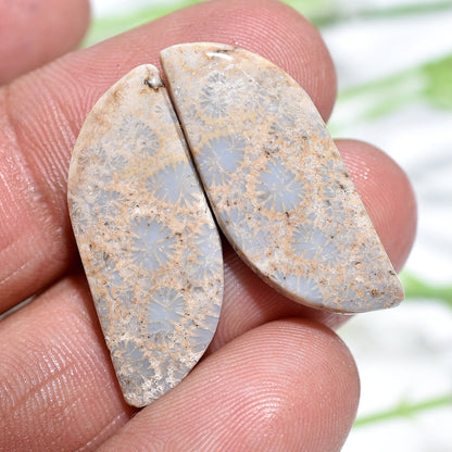 Unique Flower Fossil Coral Matching Pair - Fancy Shape Fossil Coral Earrings Pair for Women