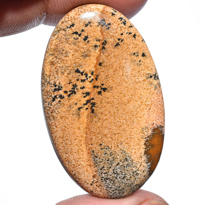 Exquisite Picture Jasper Gemstone – Designer Oval Cabochon, Rare Loose Crystal for Custom Pendants