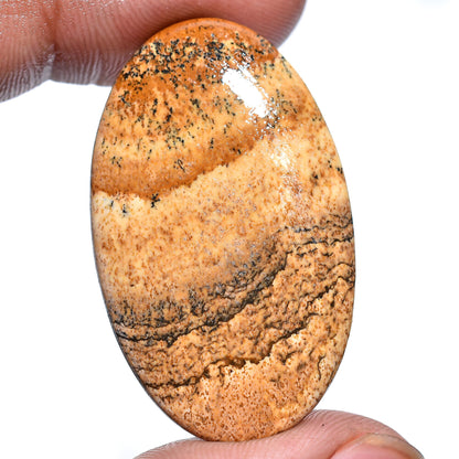 Exquisite Picture Jasper Gemstone – Designer Oval Cabochon, Rare Loose Crystal for Custom Pendants