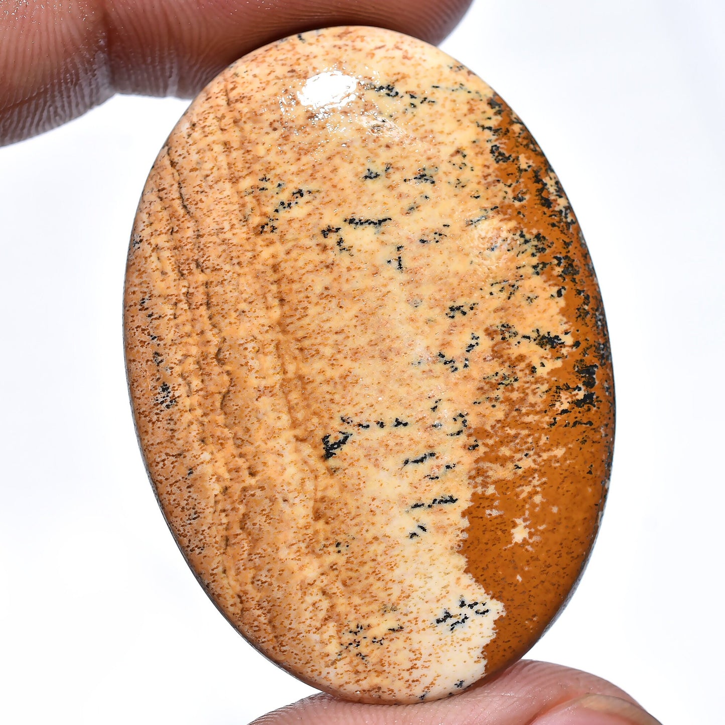 Exquisite Picture Jasper Gemstone – Designer Oval Cabochon, Rare Loose Crystal for Custom Pendants