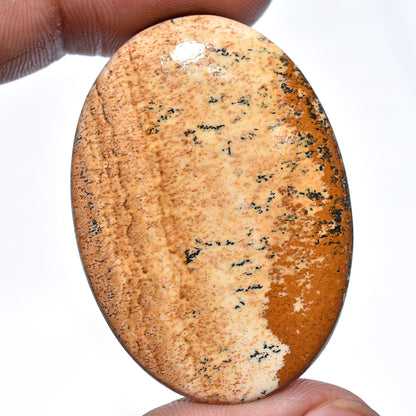 Exquisite Picture Jasper Gemstone – Designer Oval Cabochon, Rare Loose Crystal for Custom Pendants