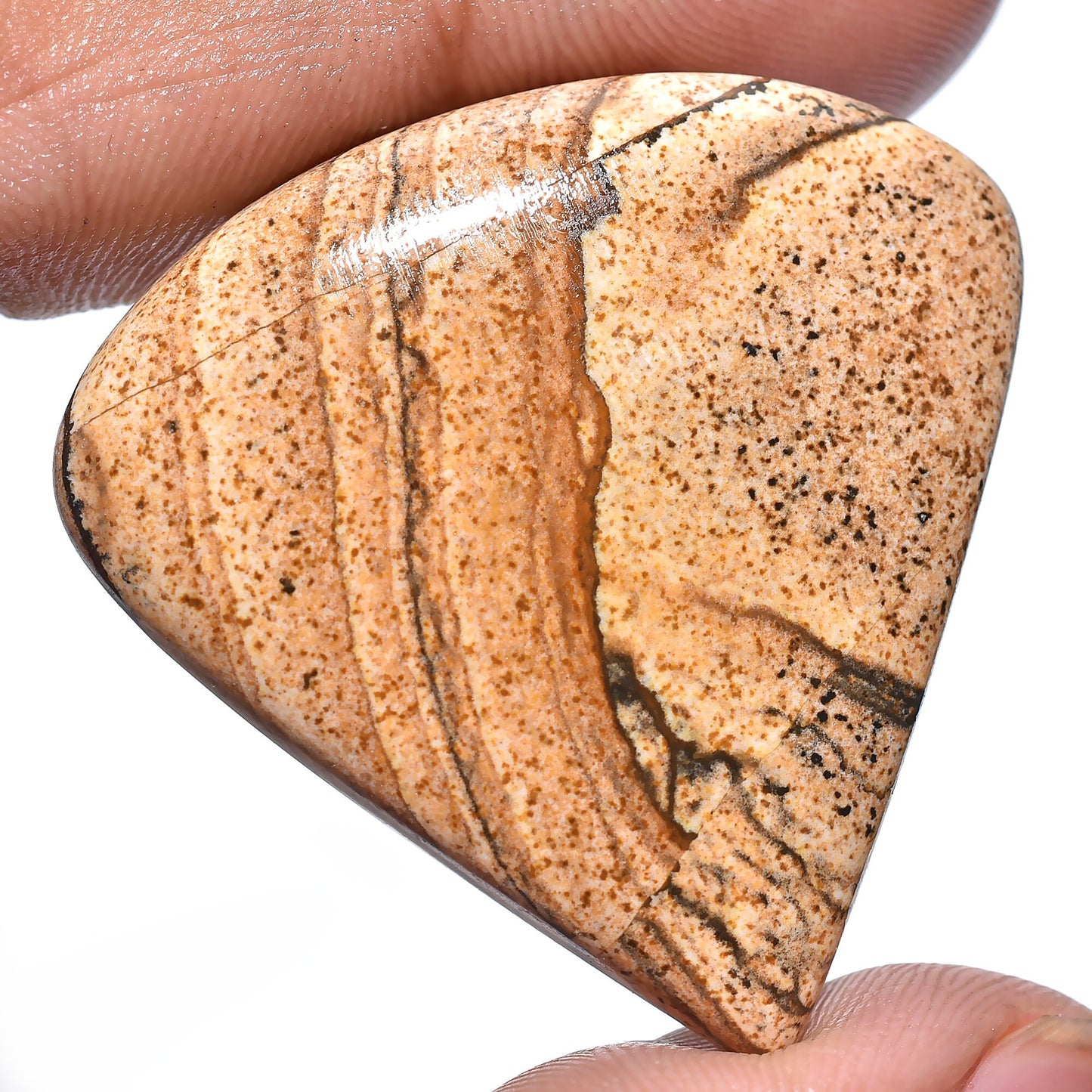 Exquisite Picture Jasper Gemstone – Designer Oval Cabochon, Rare Loose Crystal for Custom Pendants