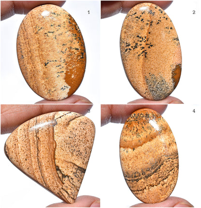 Exquisite Picture Jasper Gemstone – Designer Oval Cabochon, Rare Loose Crystal for Custom Pendants
