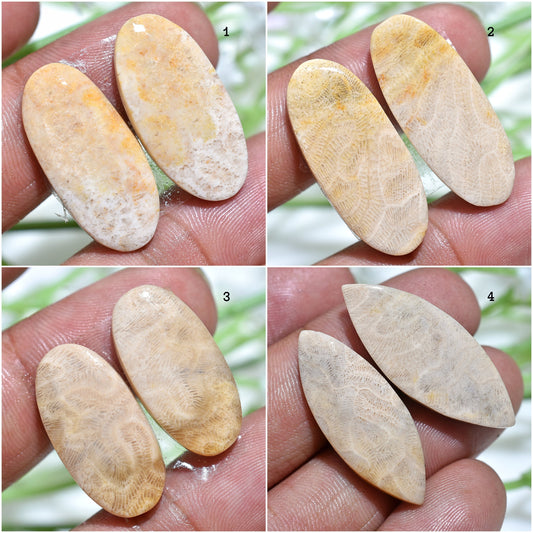 Fossil Coral Cabochon Earrings Pair - Matched Oval Marquise Shape for Earring Making
