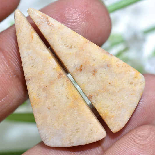 Fossil Coral Gemstone Pair – Natural Matched Fancy Shape Earring Stones Gift for Her
