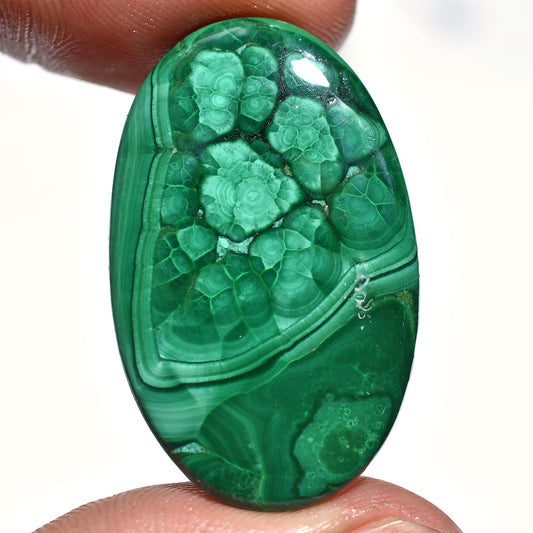 Unique Natural Malachite Cabochon –  Wholesale Oval Flat Back Green Gemstone for DIY Jewelry