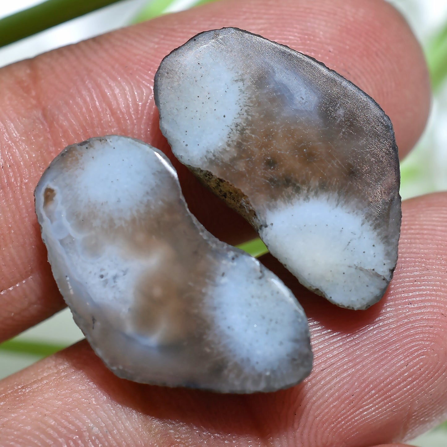 Brown Druzy Solar Quartz Gemstone Pair – Solar Slice Quartz for DIY Jewelry