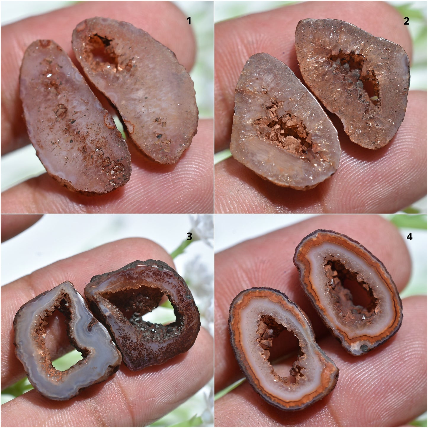Brown Window Druzy Geode Solar Quartz Pair – Unique Sparkling Gemstones