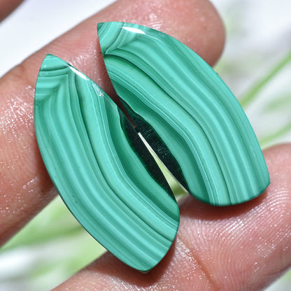 Natural Malachite Gemstone Pair - Wholesale Smooth Matched Earrings Pair