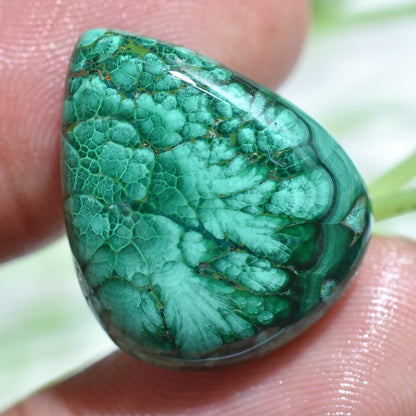 Top Quality Malachite Pear Shape Gemstone- Loose Stone for Jewelry Making