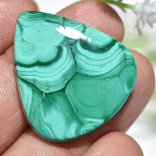 Premium Green Malachite Slice - Pear-Shaped Healing Cabochon for Jewelry