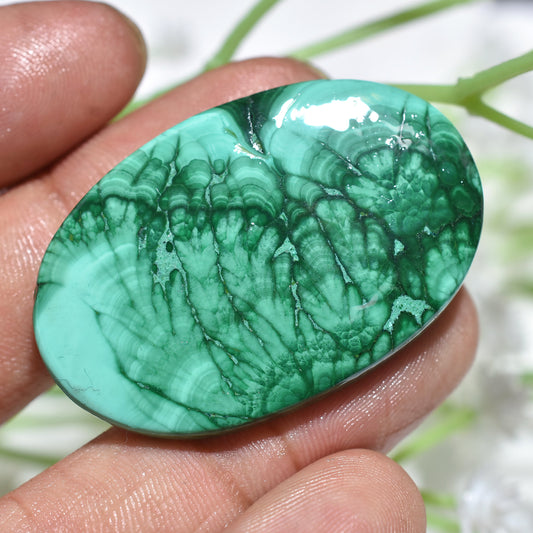 Natural Oval Malachite Cabochon - A-One Quality Loose Stone