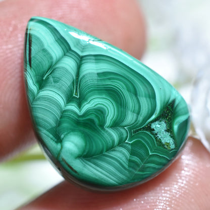 Top Quality Malachite Pear Shape Gemstone- Loose Stone for Jewelry Making