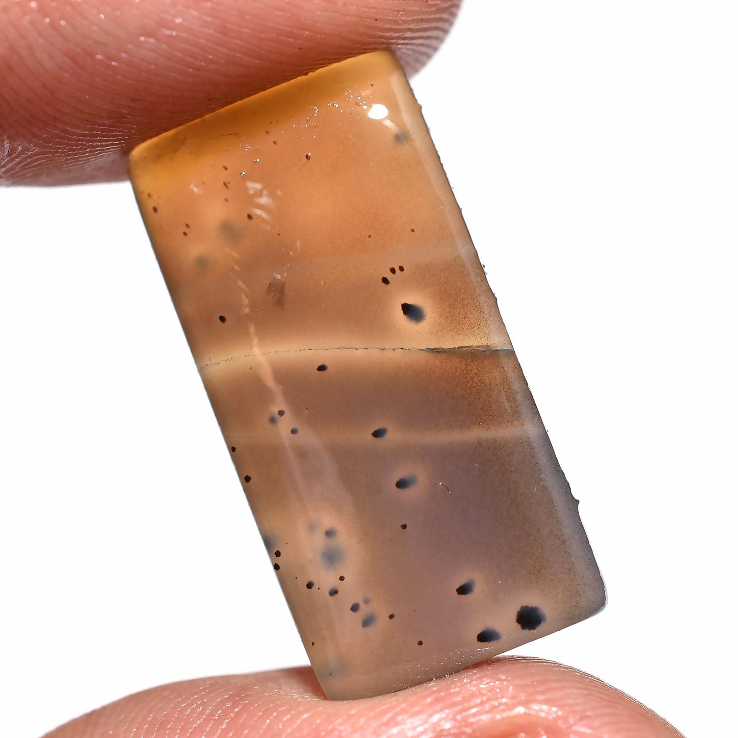 Hand-Polished Montana Agate Coffin – Oval & Rectangle Gemstones