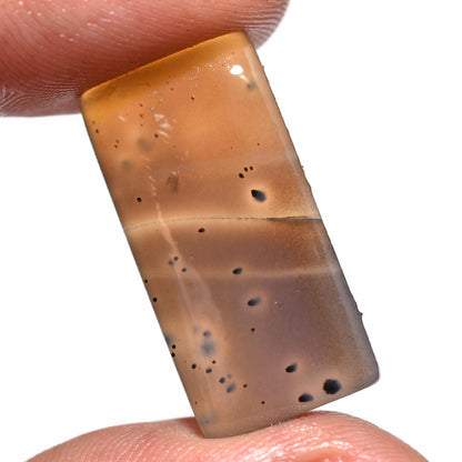 Hand-Polished Montana Agate Coffin – Oval & Rectangle Gemstones