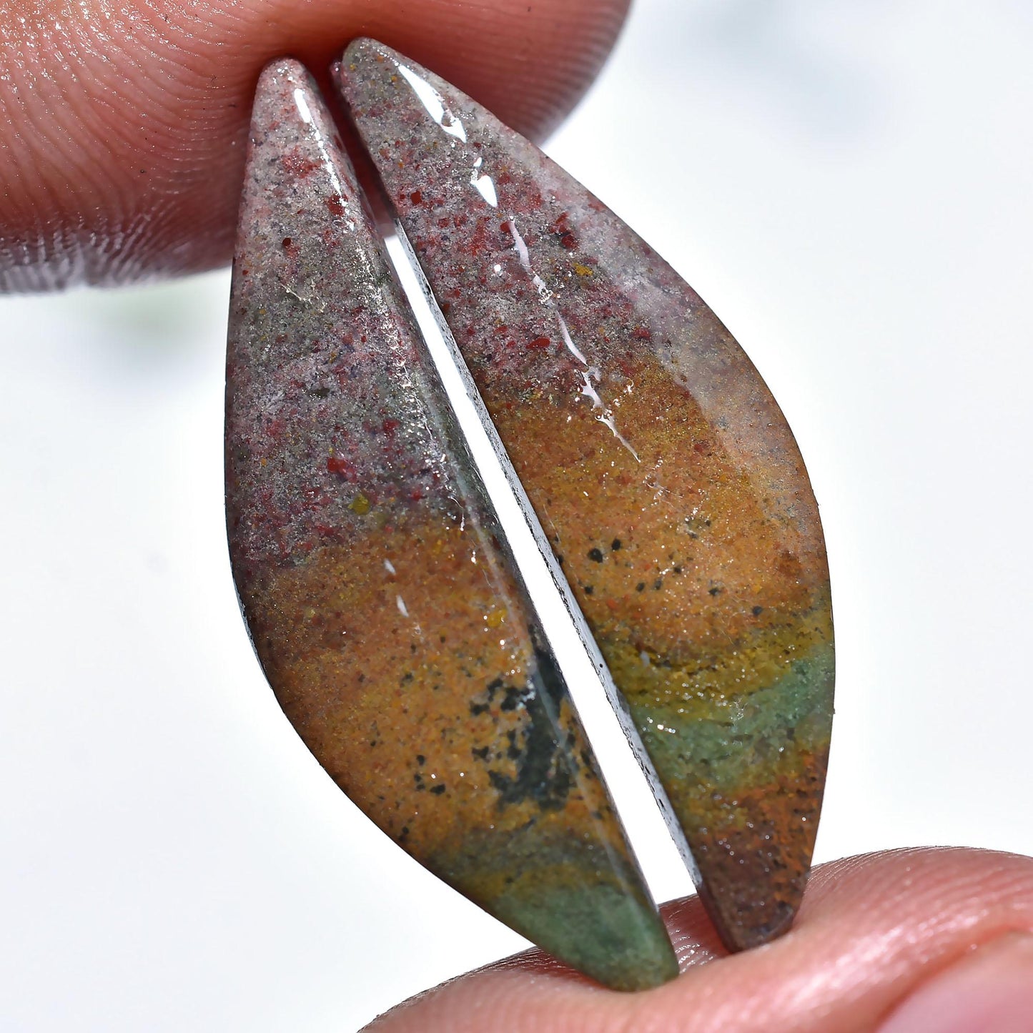 Rare Indonesian Bloodstone Pair – Fancy Shape Designer Gemstone for Earring Making
