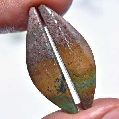 Rare Indonesian Bloodstone Pair – Fancy Shape Designer Gemstone for Earring Making