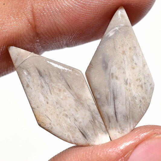 Unique Palm Root Pair – Kite Shape Agate Earrings Pair, Matching Cabochons
