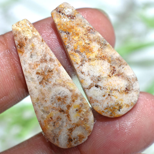 Designer Fossil Coral Cabochon Earrings Pair - Matching Fossil Coral Earring Set