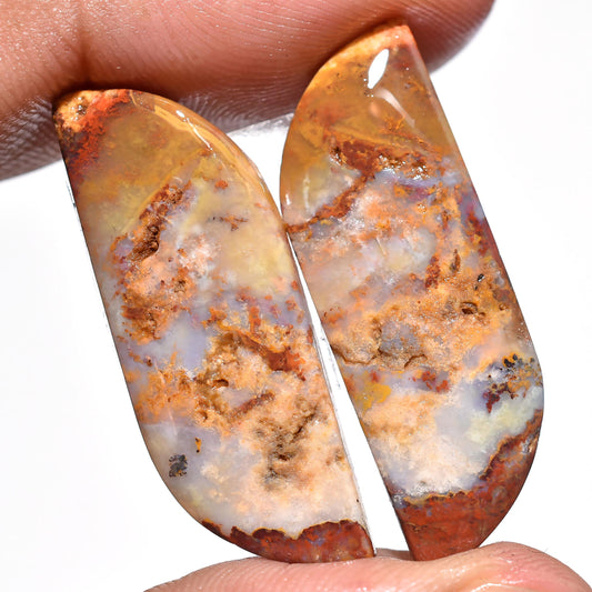 Exclusive Rare Jasper Pair – Smooth Fancy Shaped Gemstones for Custom Jewelry