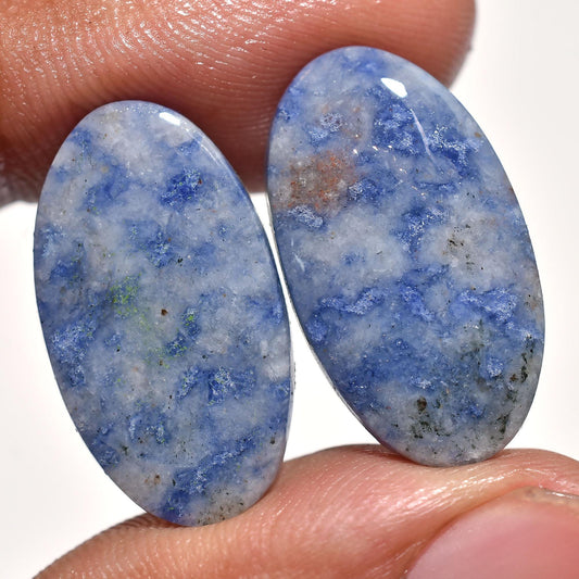 Natural Owyhee Blue Opal Pair - Fancy Shaped Gemstones for Earrings