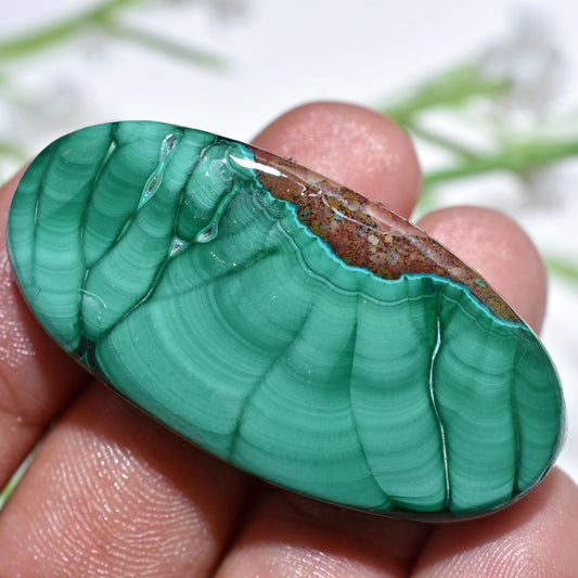 Malachite Cabochon - Oval Shaped Smooth Polished Gemstone for Jewelry