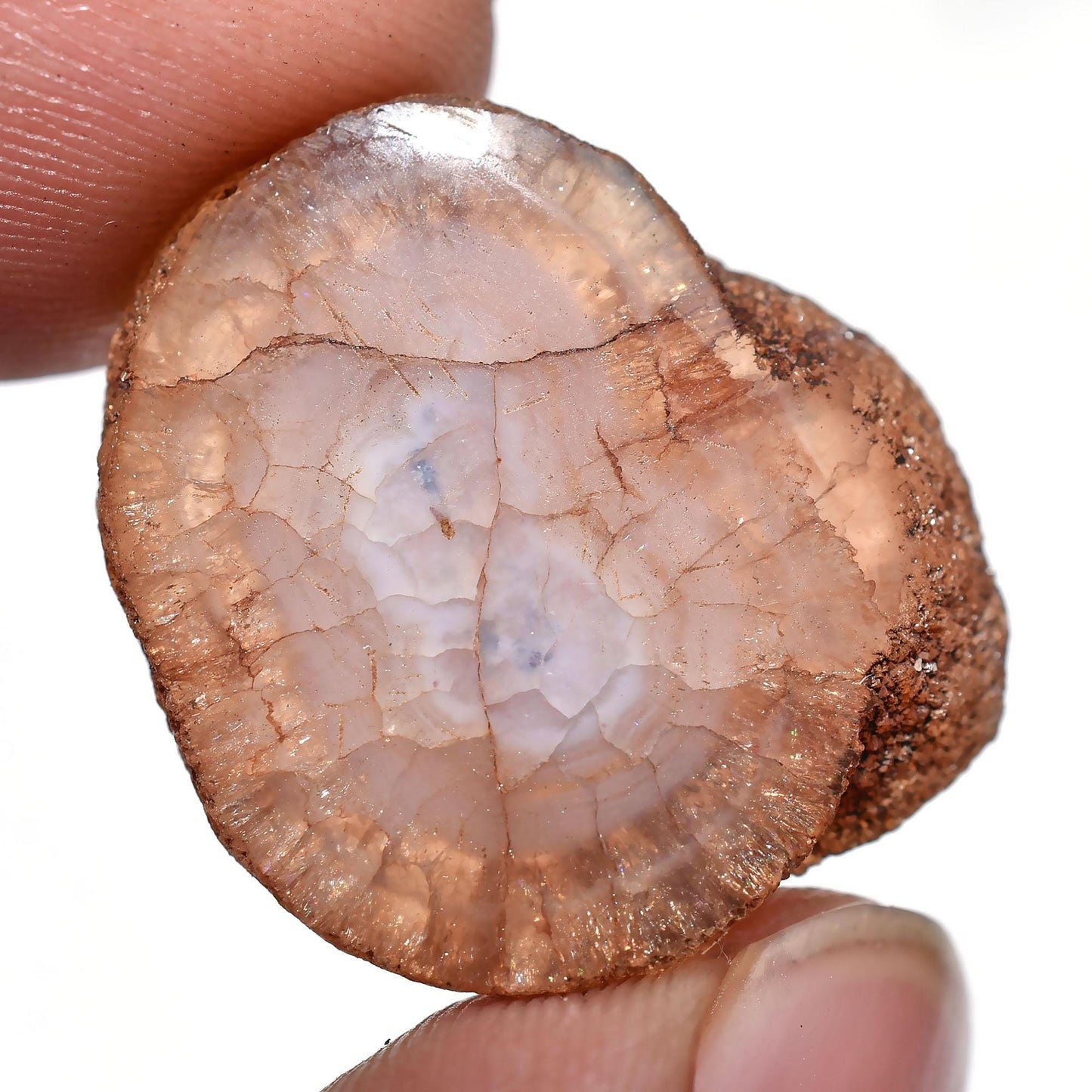 Brown Solar Quartz Crystal Gemstone – Loose Cabochon Stone