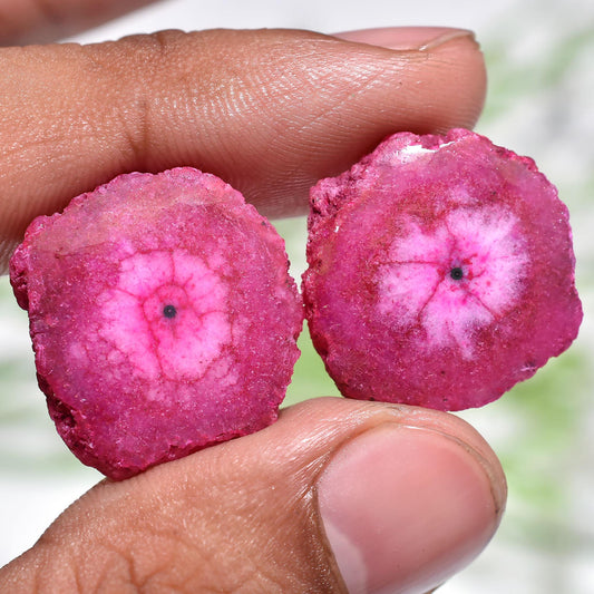 Fuchsia Solar Quartz Gemstone Pair, Round Stalactite Slices for Earrings