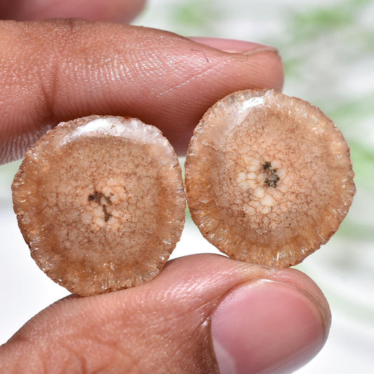 Solar Quartz Gemstone Pair, Round Geode Agate Stalactite Slices