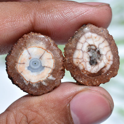 Brown Solar Quartz Matched Earring Pair, Geode Agate Round Stones