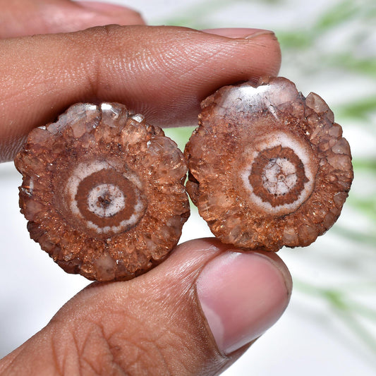 Brown Solar Quartz Cabochon Pair, Round Stalactite Slice Stones for Earrings