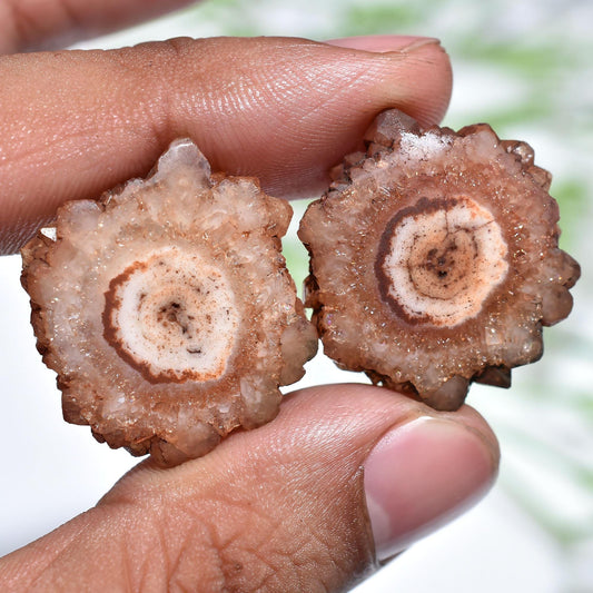 Brown Solar Quartz Cabochon Pair, Fancy Round Stalactite Slice Gemstones