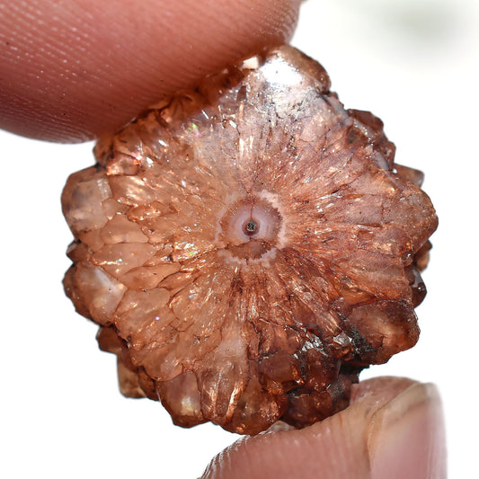 Brown Solar Quartz Gemstone - Round Fancy Crystal for Pendants, Wholesale Cabochon