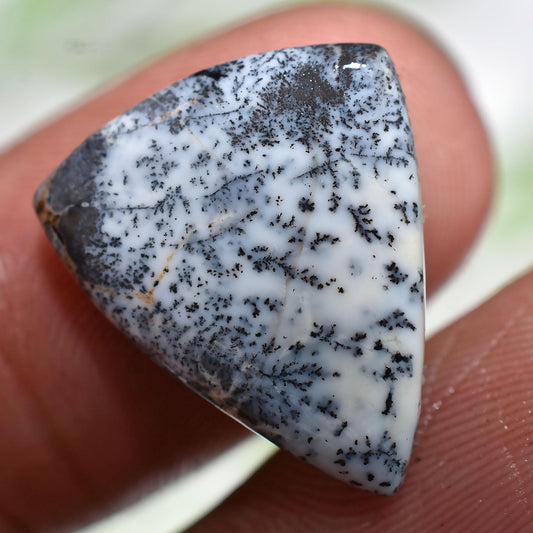 Dendritic Opal Stone Cabochon - Trillion Shape, Polished Dendrite Crystal Stone
