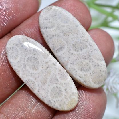 Unique Designer Fossil Coral Matching Pair – Oval Cabochons & Indonesian River Jasper for Custom Jewelry