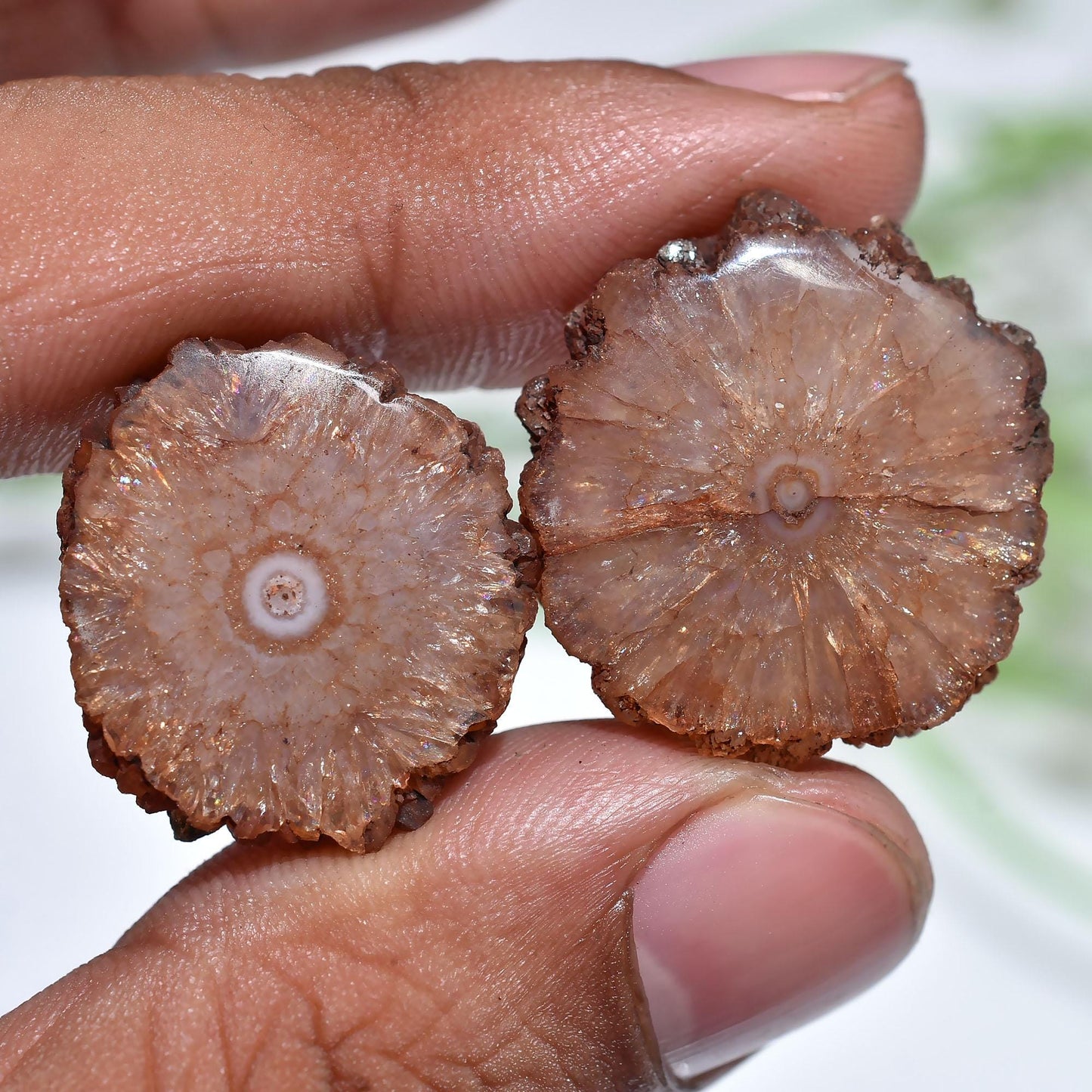 Brown Solar Quartz Matched Earring Pair, Geode Agate Round Stones