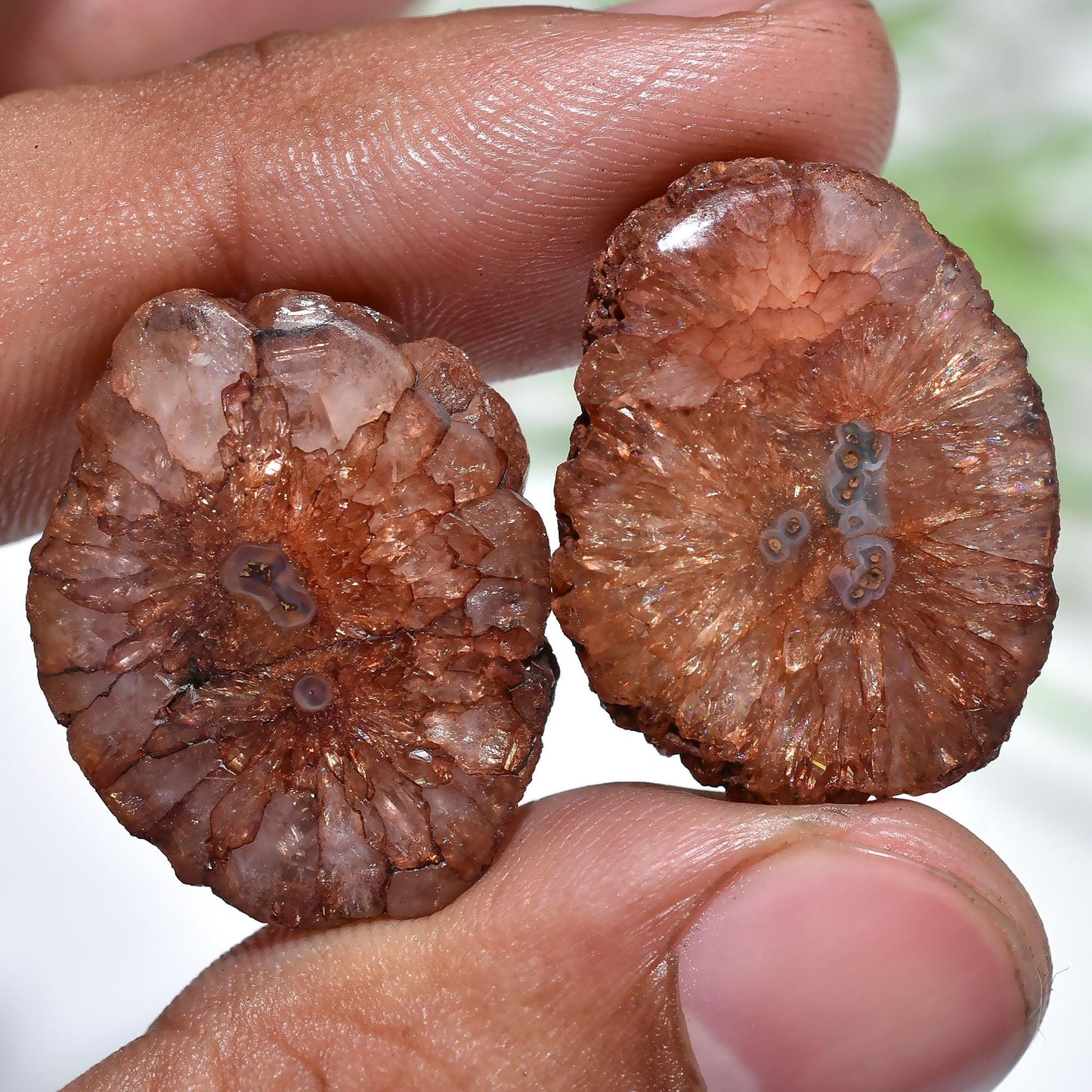 Elegant Druzy Solar Quartz Pair, Brown Web Slice Cabochon Set