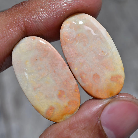 Natural Fossil Coral Pairs, Polished Matching Stones