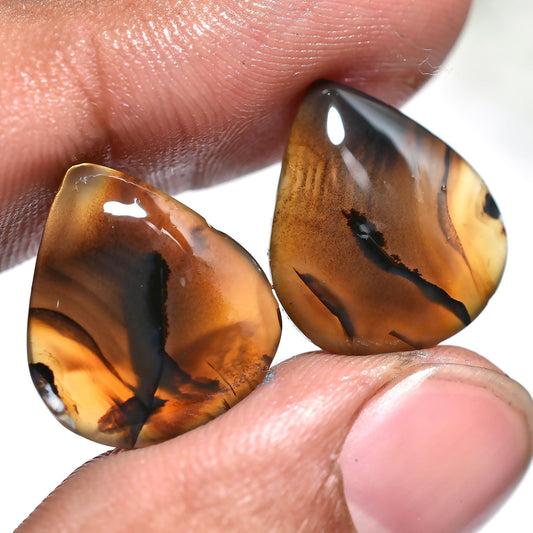 Rare Montana Agate Earring Pair – Unique Designer Matched Agate Cabochons