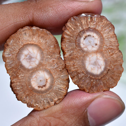 Solar Quartz Cabochon Pair – Brown Stalactite Gemstones for Earrings