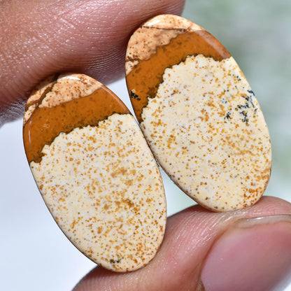 Elegant Picture Jasper Cabochon - Oval Jasper Loose Gemstone Earring Pair